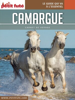 cover image of CAMARGUE 2017 Carnet Petit Futé